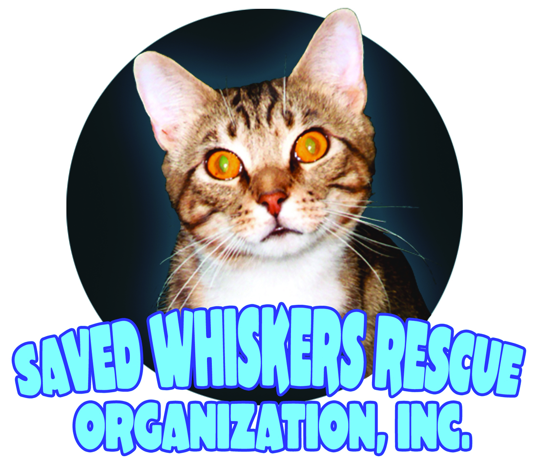 Saved Whiskers Rescue