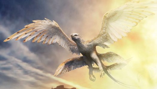 J.K. Rowling’s Wizarding World by Loot Crate July 2018: Magical Creatures (Review)